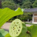 고려여인숙 이미지