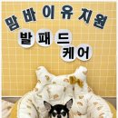 부산애견호텔 애견유치원 맘바이 서면본점 이미지