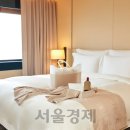 신라물산 이미지