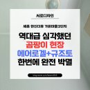 다정동_가온8단지앞상가(페스티발2) | 세종 한신더휴 가온마을3단지, 역대급 심각했던 곰팡이 에어로겔+규조토 조합을 만나 완전 박멸된 후기