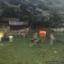 솔밭캠프 | 청주 근교 계곡 괴산 쌍곡계곡 솔밭캠프 평상대여 명당자리 추천