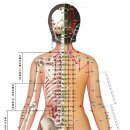 2022년 2월달 등경락마사지로 전신통증을 체형교정으로 다스리는 방법 자연치유본가 임상시술세미나 이미지