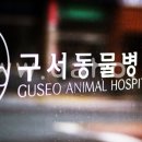 구서동물병원 이미지