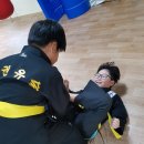 우주태권도체육관 이미지