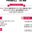 캔들나무 이미지