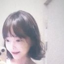 청담 에이바이봄 펌가격 단발히피펌 후기, 압구정로데오역 미용실