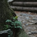 산너울 민박 | 검단산에 가다~친구와의 만남