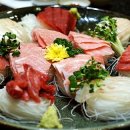 백승참치 이미지