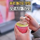 오로시 젤라또 종로점 내돈내산 종로 맛집