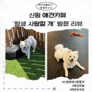 평생 사랑할 개 이미지