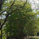 송산로387-7 이미지