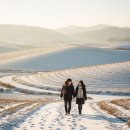 호수공원8 호수소풍숲, 푸른들판 사이 | 전라북도 1박2일 겨울여행 추천! 물안개·호수·숲길로 완성하는 고요한 감성 루트 6선