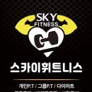 스카이휘트니스 이미지