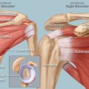 명지바른 신경외과의원 이미지