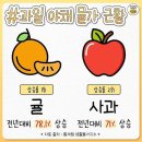 과일.야채 이미지
