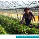 한솔이네농장 이미지