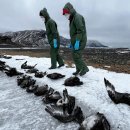 H·S·H Farm 이미지