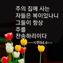 심야면담 이미지