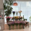 청라국제어린이집 이미지