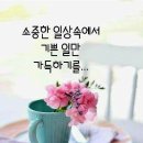 2025년3월25일(화)출석부 '아보하' 이미지
