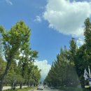 초중 어린이공원 1 이미지