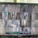 아더포레 이미지