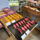 고향집 농박 | 강진에서 일주일 살기 4일차