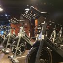 스타월드짐휘트니스 이미지