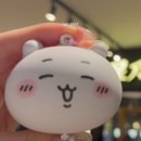 [RIGHT HERE] 후쿠오카에서 또 쫓겨날래 네 _세븐틴 일본 돔투어 후기