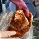 국산김치 찐 김치장인의 김앤치 포기김치 후기