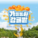 하늘 스테이 이미지