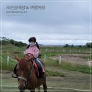 조은목장 이미지