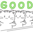 예뻐질고양