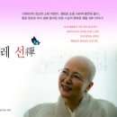 보현땅콩