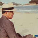 윤보선 카카오 검색결과