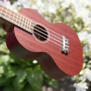 우쿠렐레 이미지