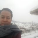 르본상사 이미지