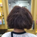 김송정머리터 이미지