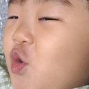 [예산/삽교]삽교 오가할머니딸숯불곱창 예산시장