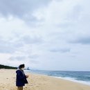 안목해변 이미지