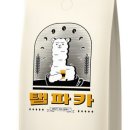 탬파카커피컴패니