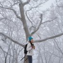 삼거리잡화 이미지