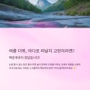 백운산민박 | 🎯 더운 여름, 백운계곡은 왜 이렇게 인기 폭발일까? 제가 직접 다녀온 후기!