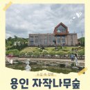 안성시민의 날 기념음악회 | 산책하기 좋은 용인 자작나무숲 베툴라 카페 아이와 데이트 가볼만한 곳