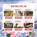 꽃과 노닐다 이미지