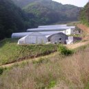 진정1농장 이미지