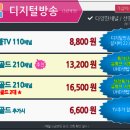 HCN금호방송