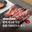 1988마라탕 | 평택 세교동 양꼬치 맛집, 용용1988양꼬치, 양꼬치 2인분 마라탕 후기