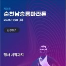 제25회 순천남승룡마라톤대회 | 2025 제25회 순천 남승룡 마라톤! 순천만을 품은 가을 러닝 축제! &lt;런닝소식&gt;