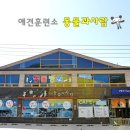 하남애견훈련소 이미지